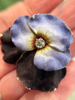 Front view of antique Victorian pansy brooch featuring purple enamel petals and Old Mine Cut diamond center. On model